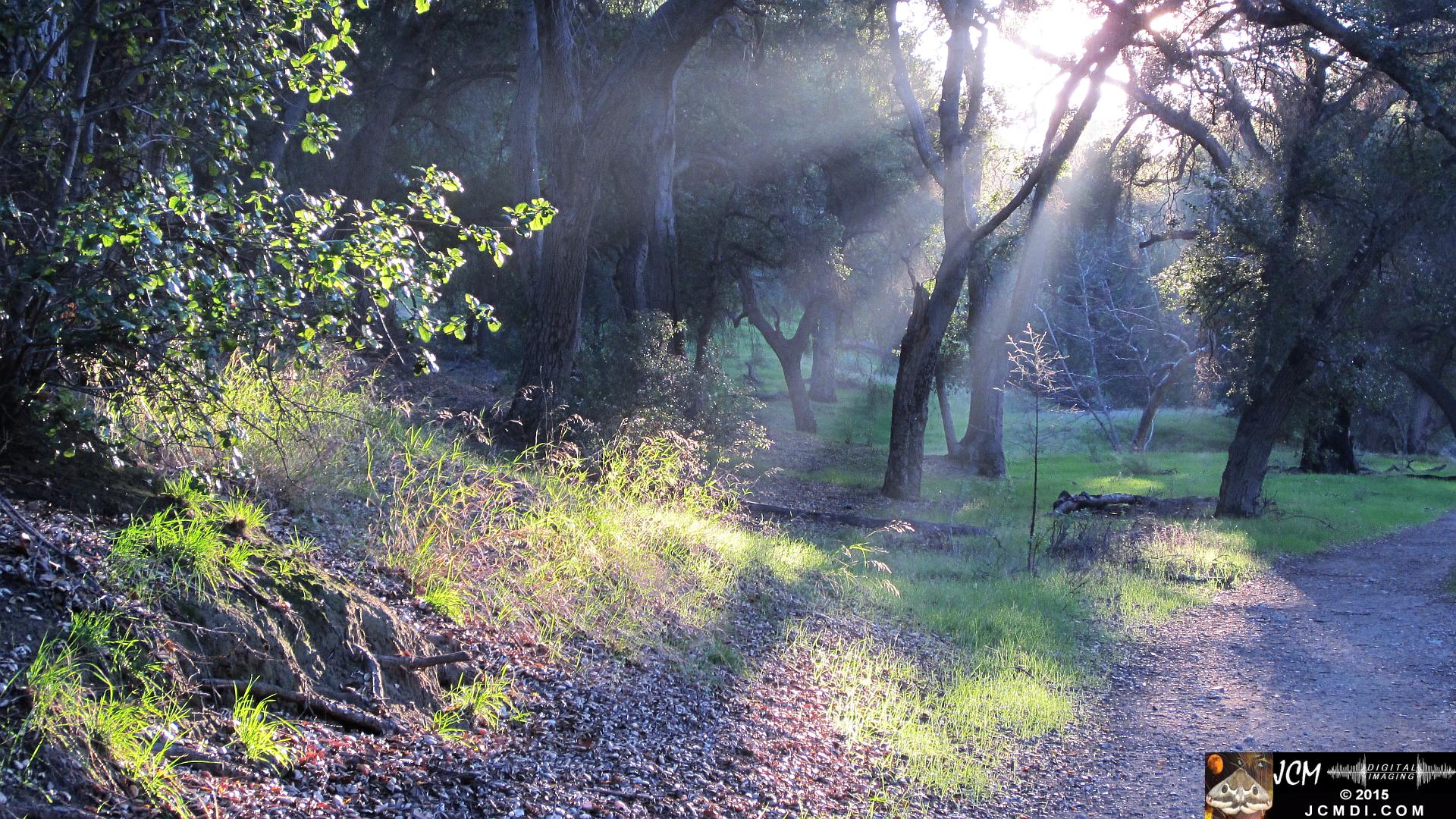 Whitney Canyon sunrays